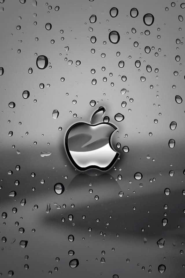 Apple標誌反射在濺滿雨水的玻璃上，背景為單色漸變。