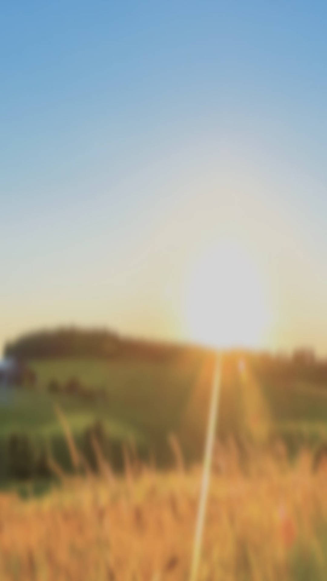 日出 iOS 預設壁紙 壁紙 — 一道陽光在晴朗的藍天下，將金色光芒照射在模糊的高草田野和遠山之上。