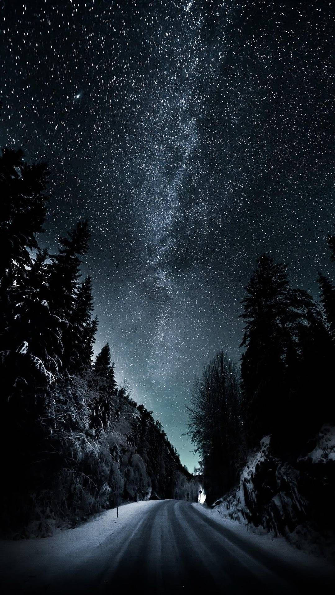 冬季 iPhone 閃耀夜空 壁紙 — 一條被雪覆蓋的森林道路在令人嘆為觀止的星空下延伸，銀河在上方閃耀。