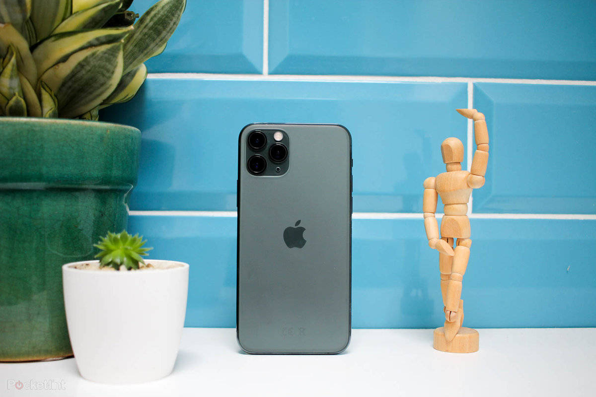 iPhone 11 Pro 與木雕擺設 壁紙 — 一部時尚的灰色iPhone放在白色架子上，旁邊有一個木製藝術家模型和盆栽多肉植物，背景是充滿活力的藍色瓷磚牆。