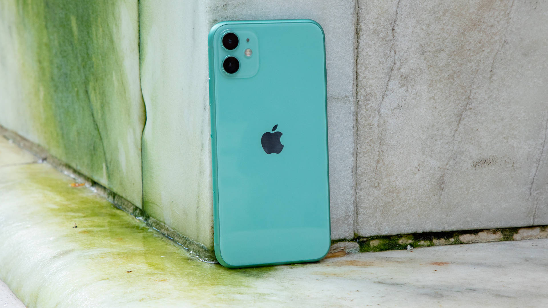 薄荷綠色iPhone靠在一面長滿苔蘚的混凝土牆上。