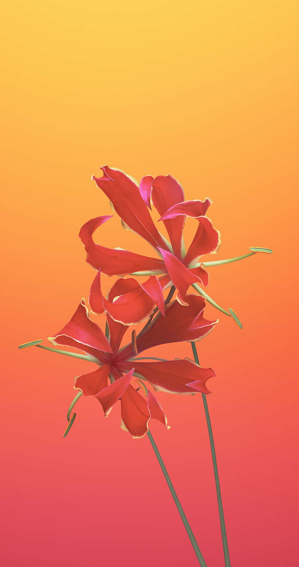 兩朵紅色花朵，莖幹纖細，背景為溫暖漸變的日落。