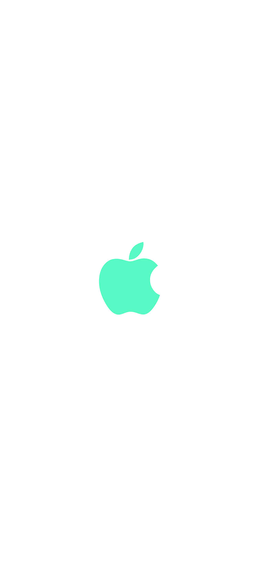 白色背景上的薄荷綠色Apple標誌