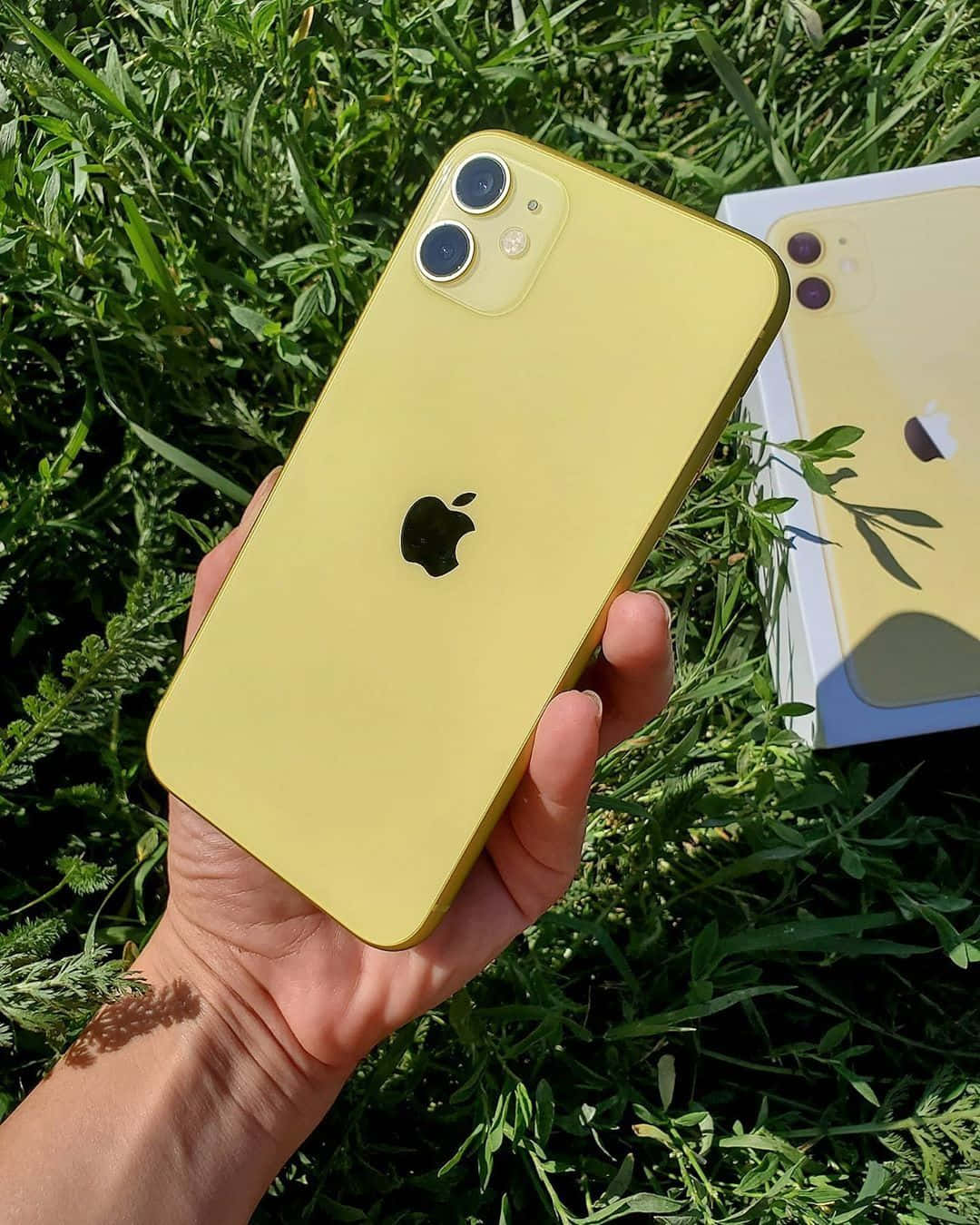 iPhone 12 圖片 壁紙