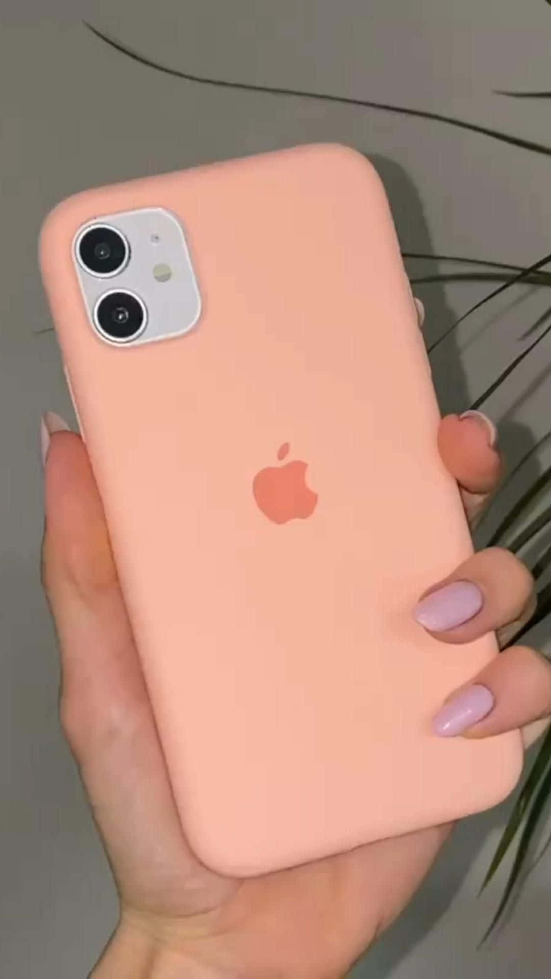 iPhone 12 圖片 壁紙