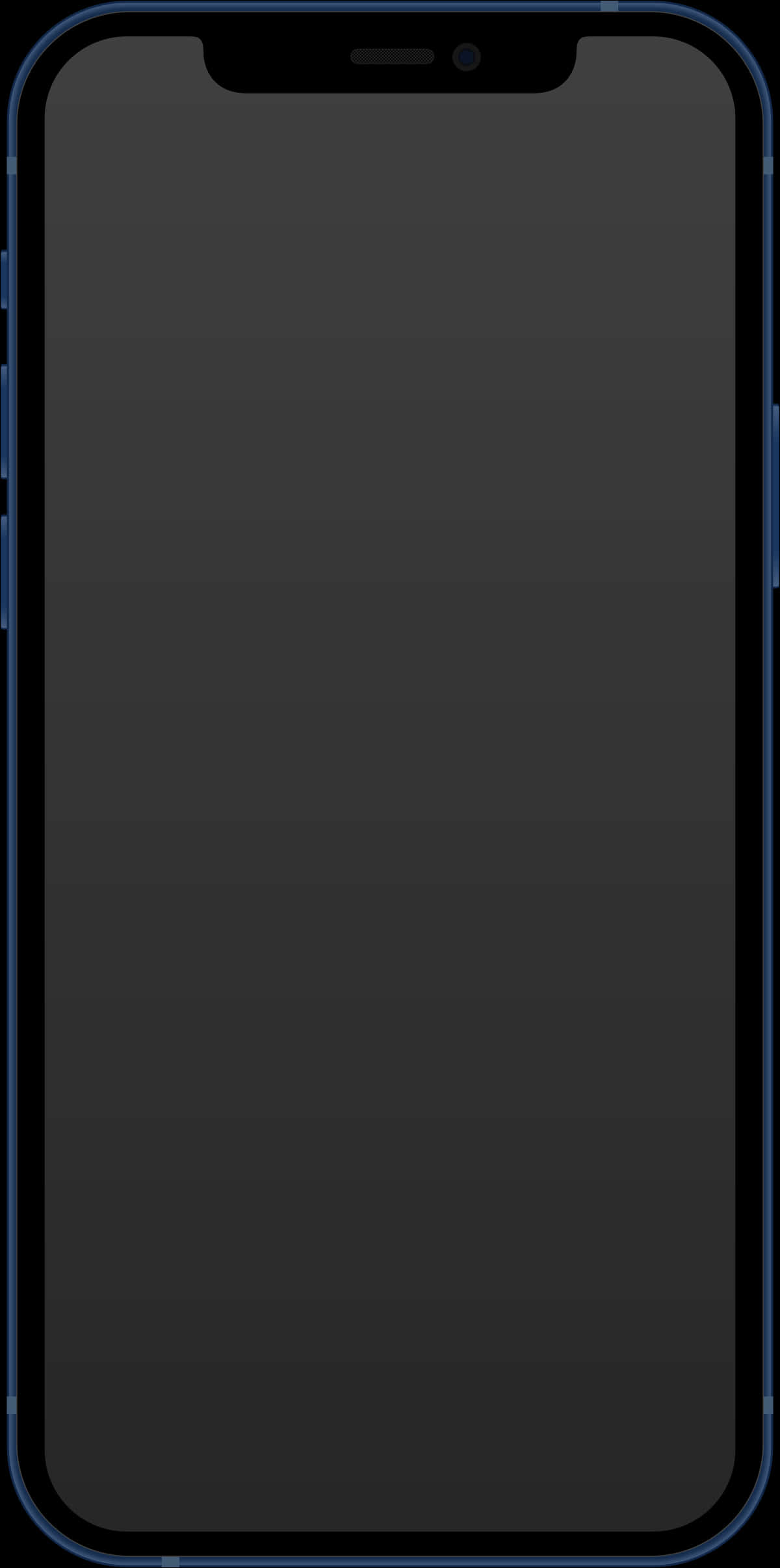 iPhone 12 空白螢幕