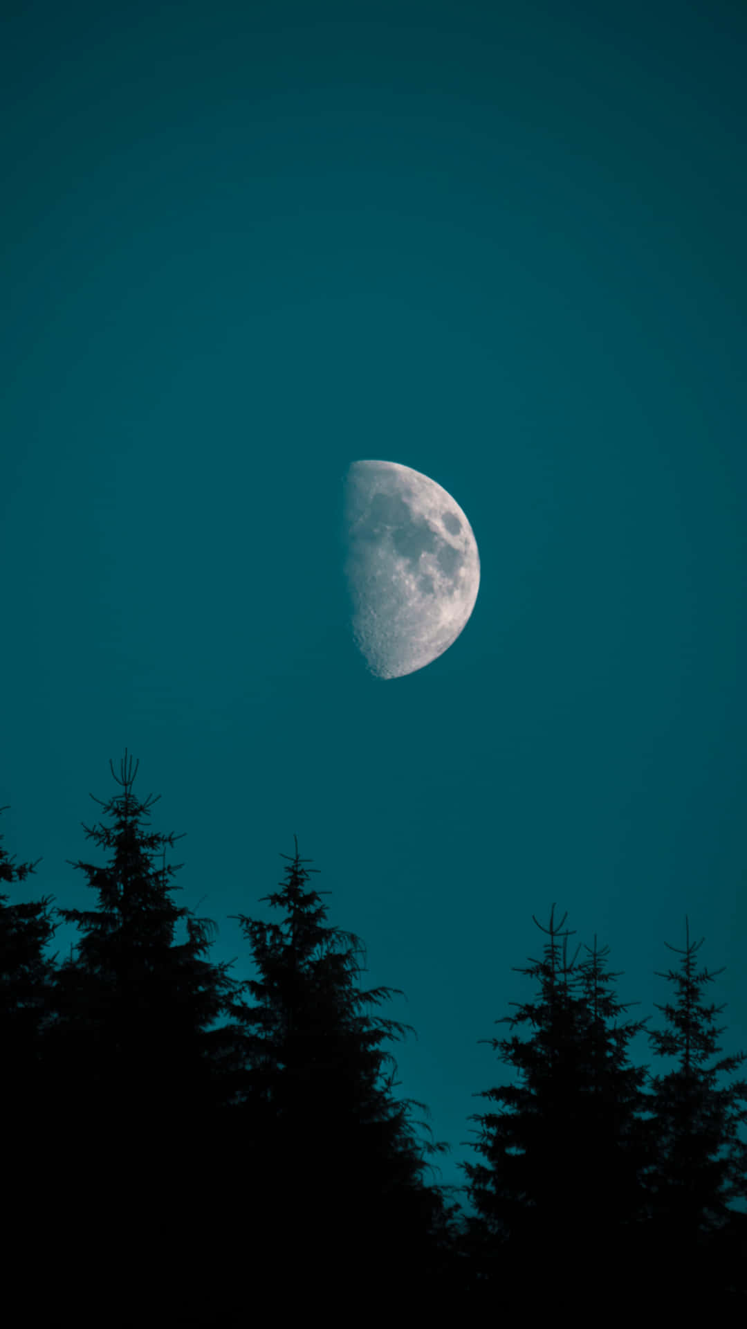 月影樹林 iPhone 版 壁紙 — 一彎新月在深藍綠色夜空下閃耀，映襯著松樹的黑暗剪影。
