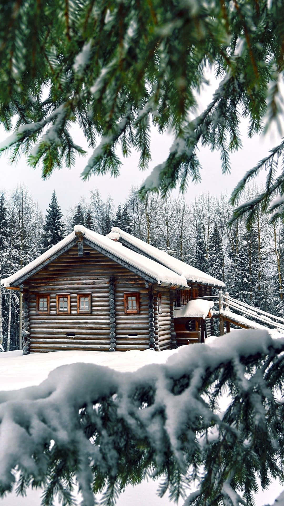 iPhone 圣诞雪景森林小屋 壁紙 — 一座被雪覆蓋的木屋，坐落在冬季森林中，周圍是掛滿雪的松樹枝。