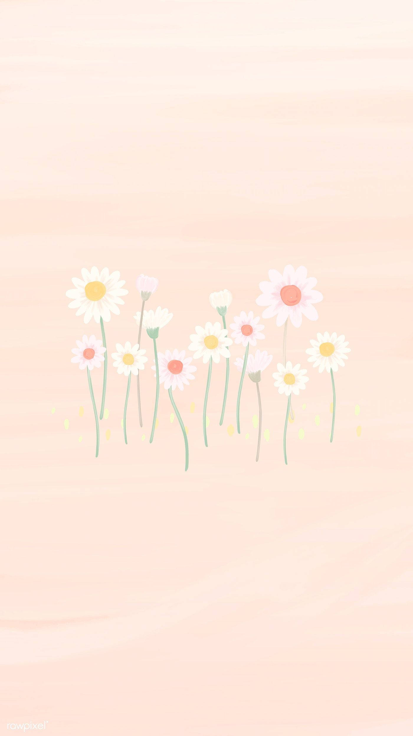 鬱金香與白色雛菊 iPhone 壁紙 — 柔和粉彩插圖，雛菊帶有黃色和粉紅色花心，在蜜桃漸變背景上輕輕綻放。