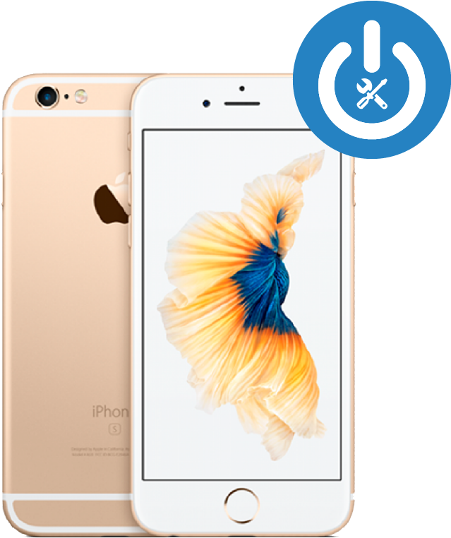 金色 iPhone 6s Plus 展示 壁紙 — 金色 iPhone 6s 正面和背面展示，配有鮮豔的鬥魚壁紙和藍色電源圖示疊加。