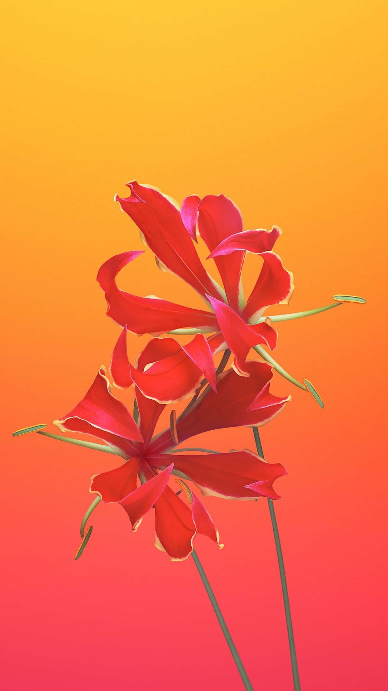 iPhone 6s 預設火焰百合壁紙 壁紙 — 鮮豔的紅色花朵，花瓣細膩，在溫暖漸變的日落天空中綻放。