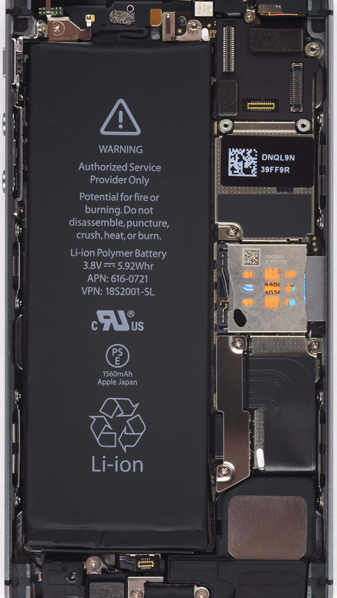 探索iPhone內部視角 壁紙 — 拆解智能手機暴露內部組件，顯示黑色鋰離子電池和電路板。