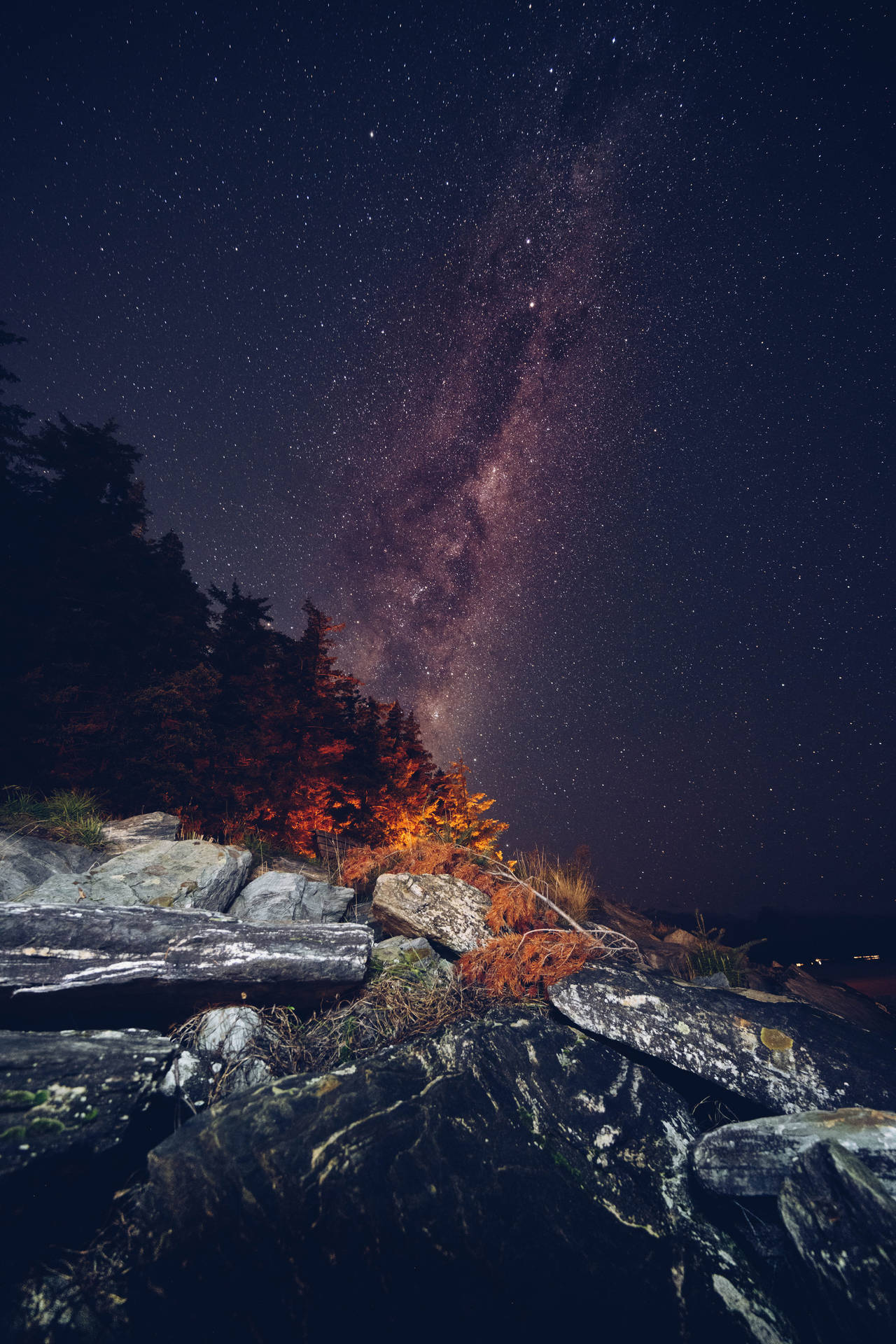 夜晚秋樹與岩石上的銀河系