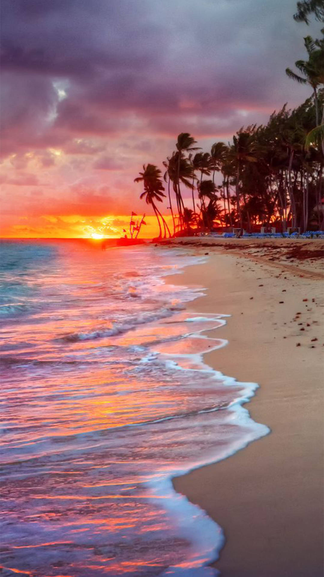 熱帶海灘上的夕陽，有棕櫚樹和輕柔的海浪