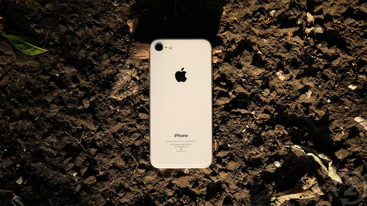 白色iPhone放在深色泥土上，有乾葉和一片綠葉。