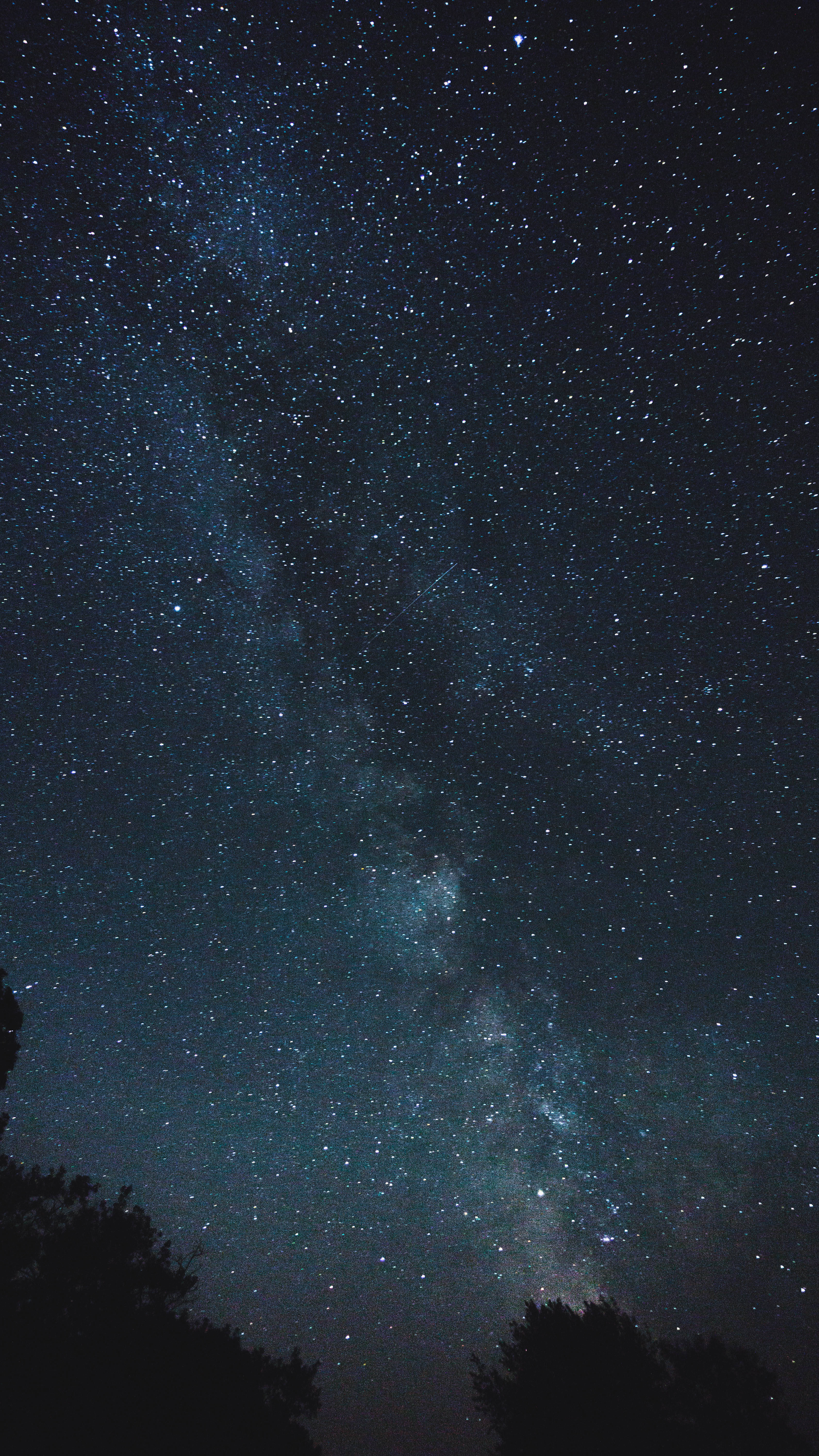 星系時間延遲攝影 iPhone 壁紙 — 在深邃的夜空下，無數星星閃爍的銀河系，在黑暗樹梢的剪影之上，呈現出令人屏息的美景。