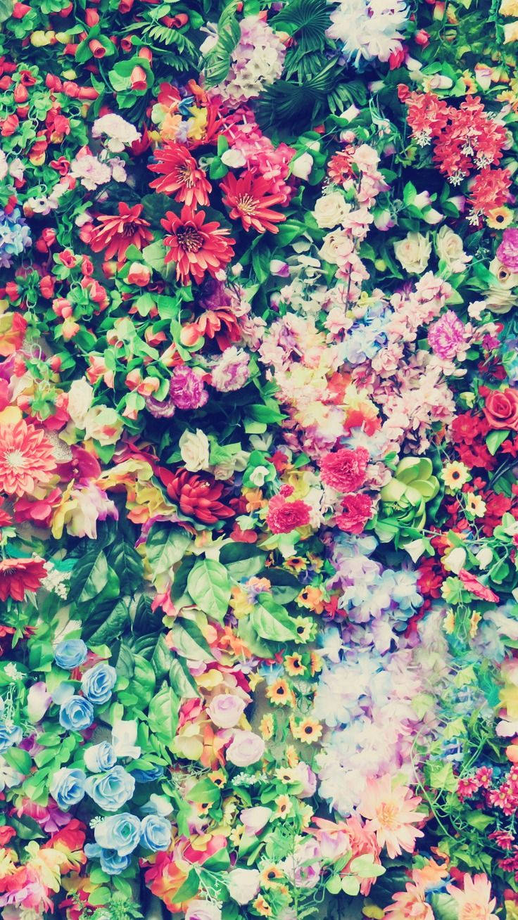 多彩混合花卉 iPhone 壁紙 — 一道由粉紅、藍、紅彩虹色調的鮮豔人造花和綠植組成的密集牆。