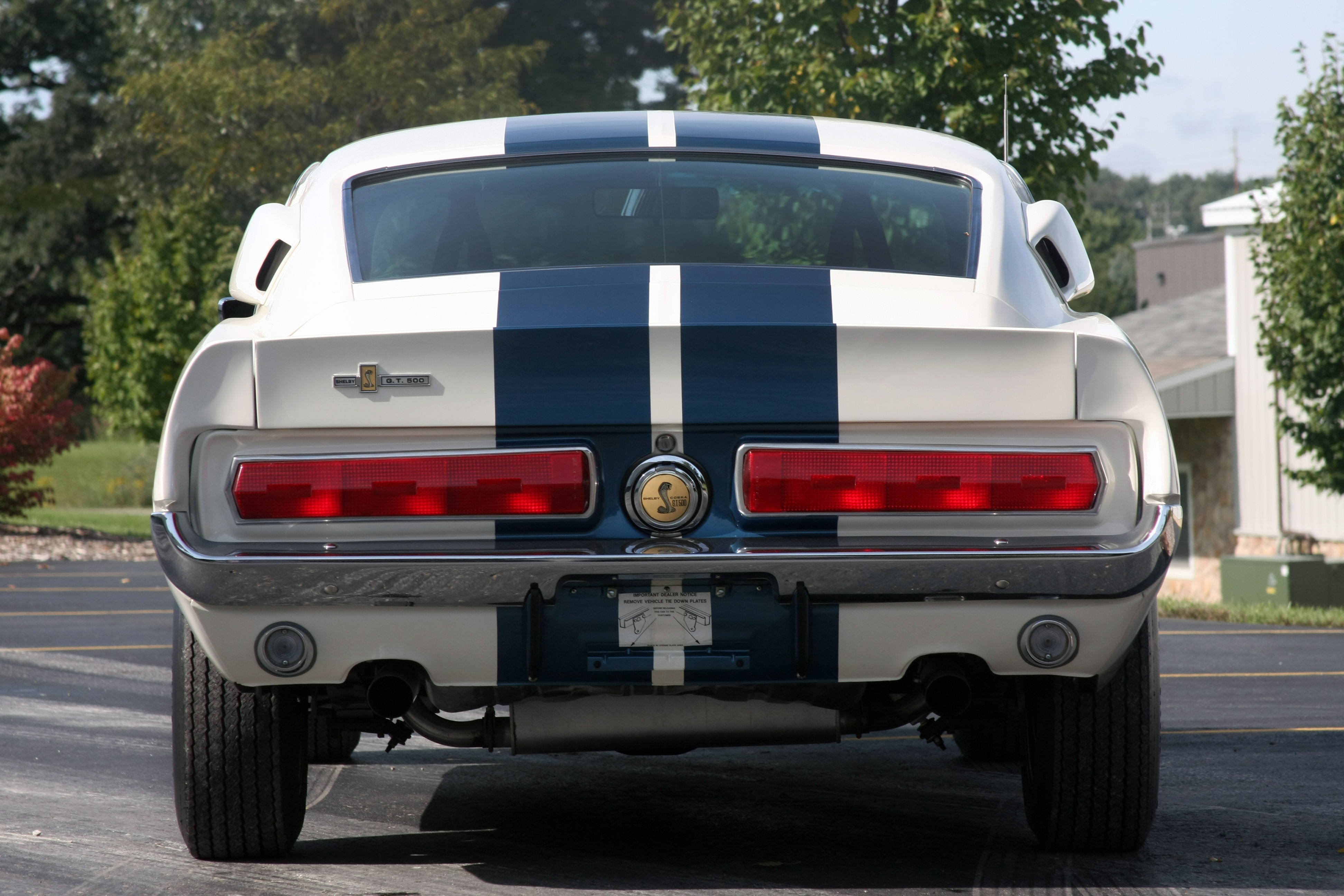 雪佛蘭iPhone車尾 壁紙 — 白色經典Shelby Mustang配藍色賽車條紋，停泊在陽光明媚的郊區地段，後視圖。