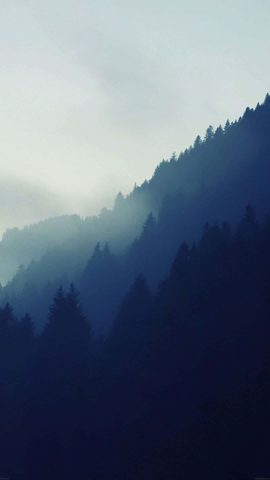 森林山脈極簡 iPhone 壁紙 — 霧氣籠罩的山坡，披上深藍色陰影，常綠樹在迷霧中逐漸消失。
