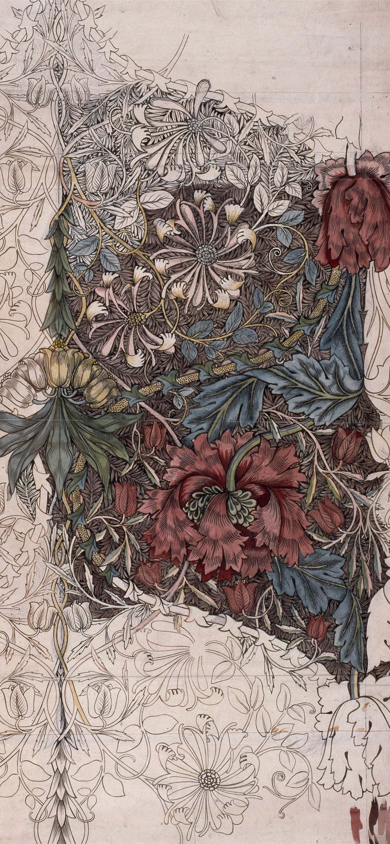 iPhone 上的水彩畫效果 壁紙 — 一幅精緻的花卉插圖，帶有細緻的線條藝術，並在奶油色背景上選擇性地突出深紅色和藍色。