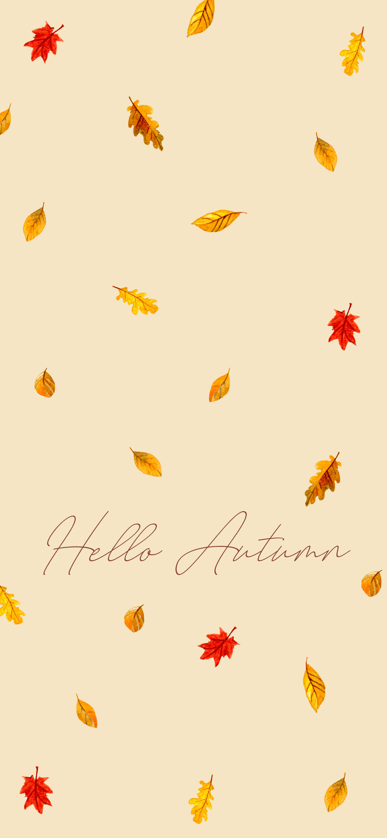 蘋果選在最適合的季節，展現新款 iPhone 的迷人風采 壁紙 — 溫暖紅色和黃色的秋葉在柔和的米色背景上輕輕飄動，並帶有手寫體hello autumn文字。