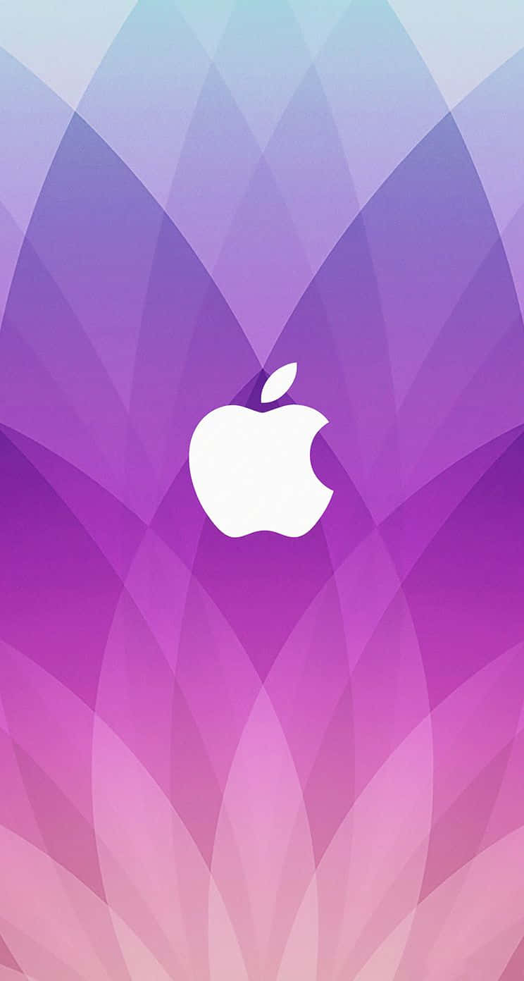 紫色iPhone背景 壁紙