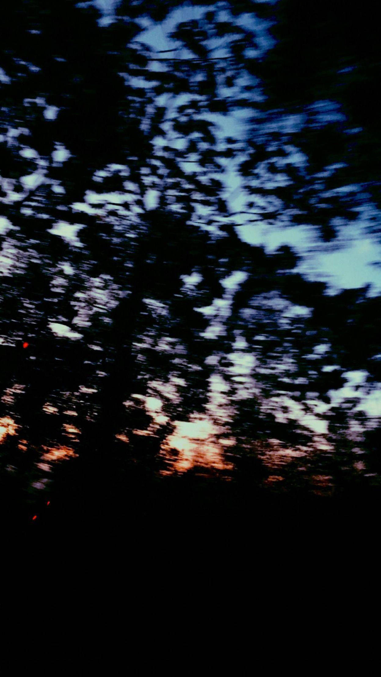 夕陽樹影 iPhone 壁紙 — 剪影的樹枝在暮色天空中劃過，天空閃耀著火橙色和冷藍色調。
