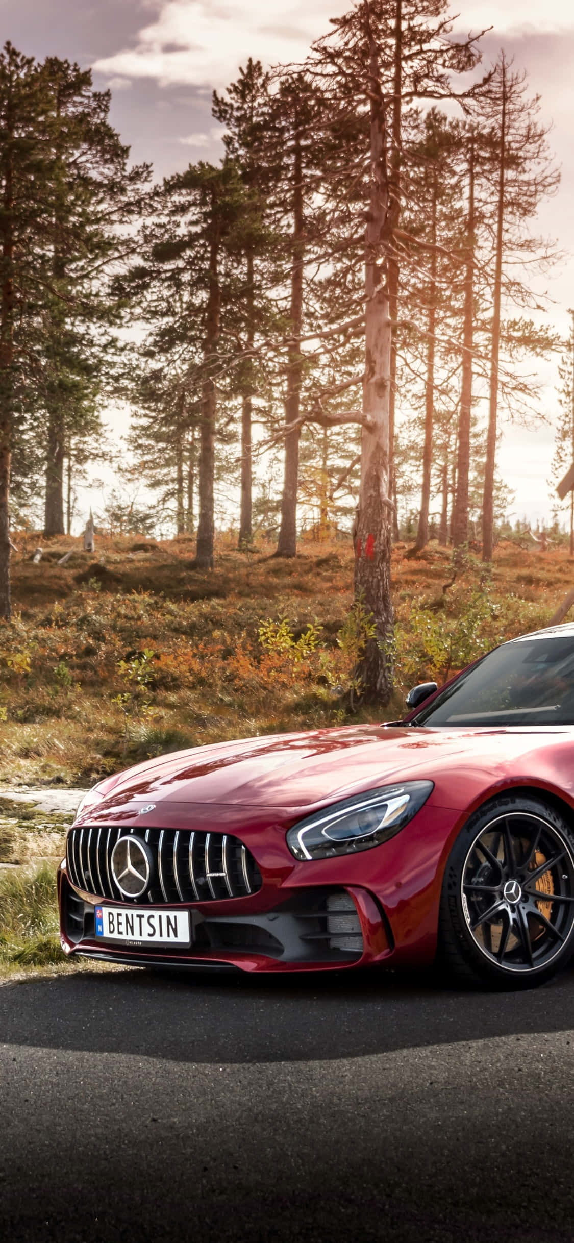 iPhone X AMG GT-R 背景：2020 AMG GT C 紅色車頭 壁紙 — 一輛光亮的紅色 Mercedes-AMG GT 停泊在森林道路上，沐浴在透過高大松樹灑落的金色夕陽光中。