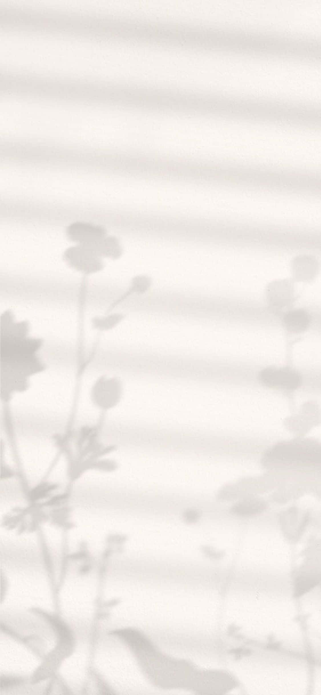 iPhone X 最簡花朵影子背景 壁紙 — 水平百葉窗在明亮的白色牆上投射出柔和灰色的花朵和葉子陰影。