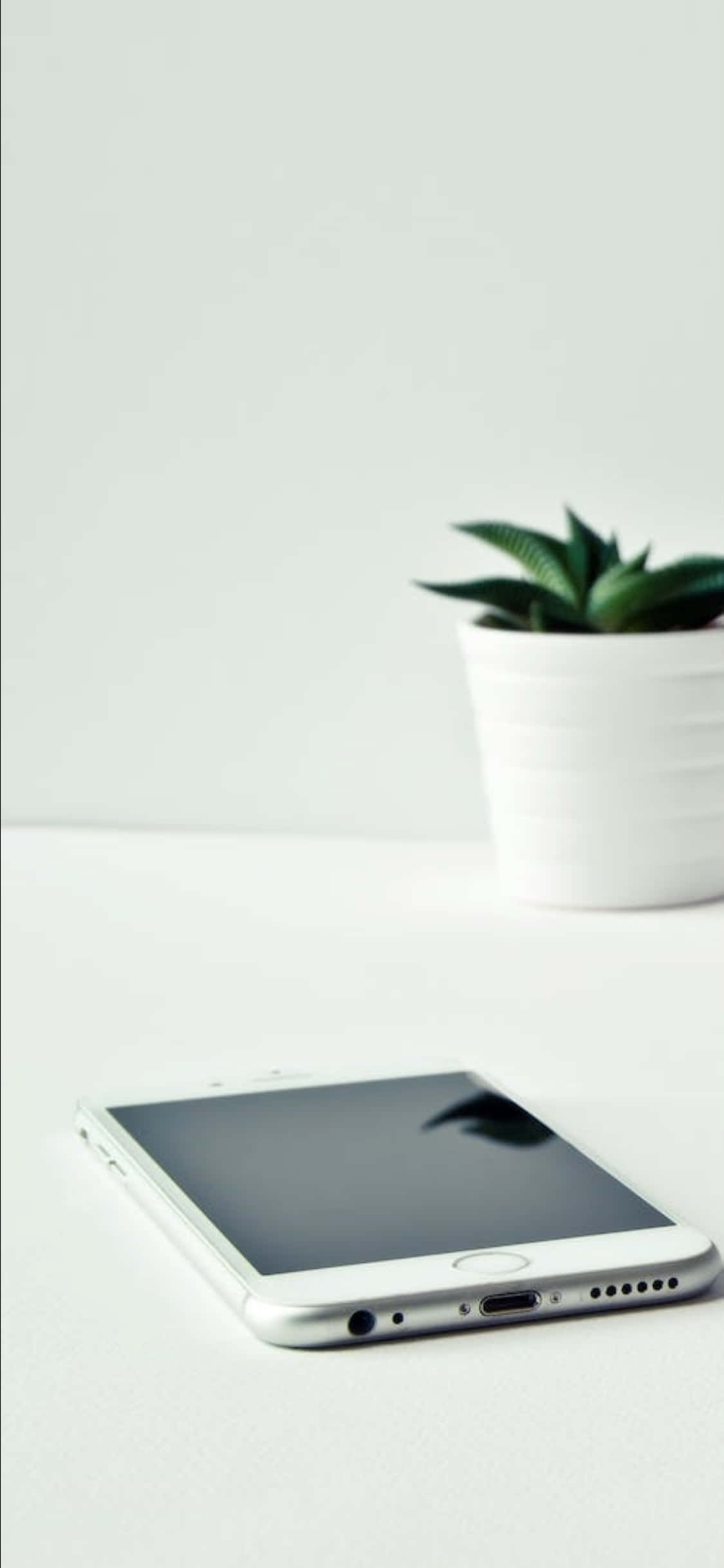 iPhone X 桌面背景：白色手機與植物 壁紙 — 一部時尚的銀色智能手機放在簡約的白色表面上，旁邊有一小盆白色陶瓷盆栽的多肉植物。