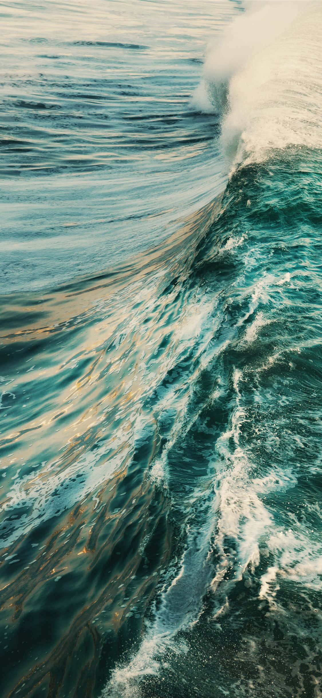 iPhone X 馬利布背景 藍色海洋波浪 壁紙 — 一道強勁的海浪捲起並破碎，帶著白色泡沫，在金色陽光下衝擊深藍綠色的海水。
