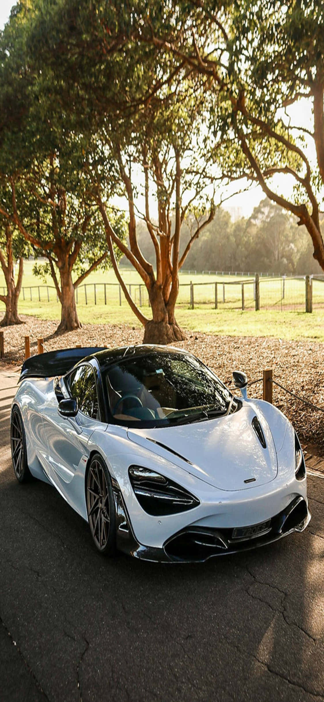 iPhone X 麥拉倫 720S 林間背景 壁紙 — 一架流線型白色McLaren跑車在金色陽光下閃耀，停泊在寧靜鄉村環境中綠樹成蔭的樹下。