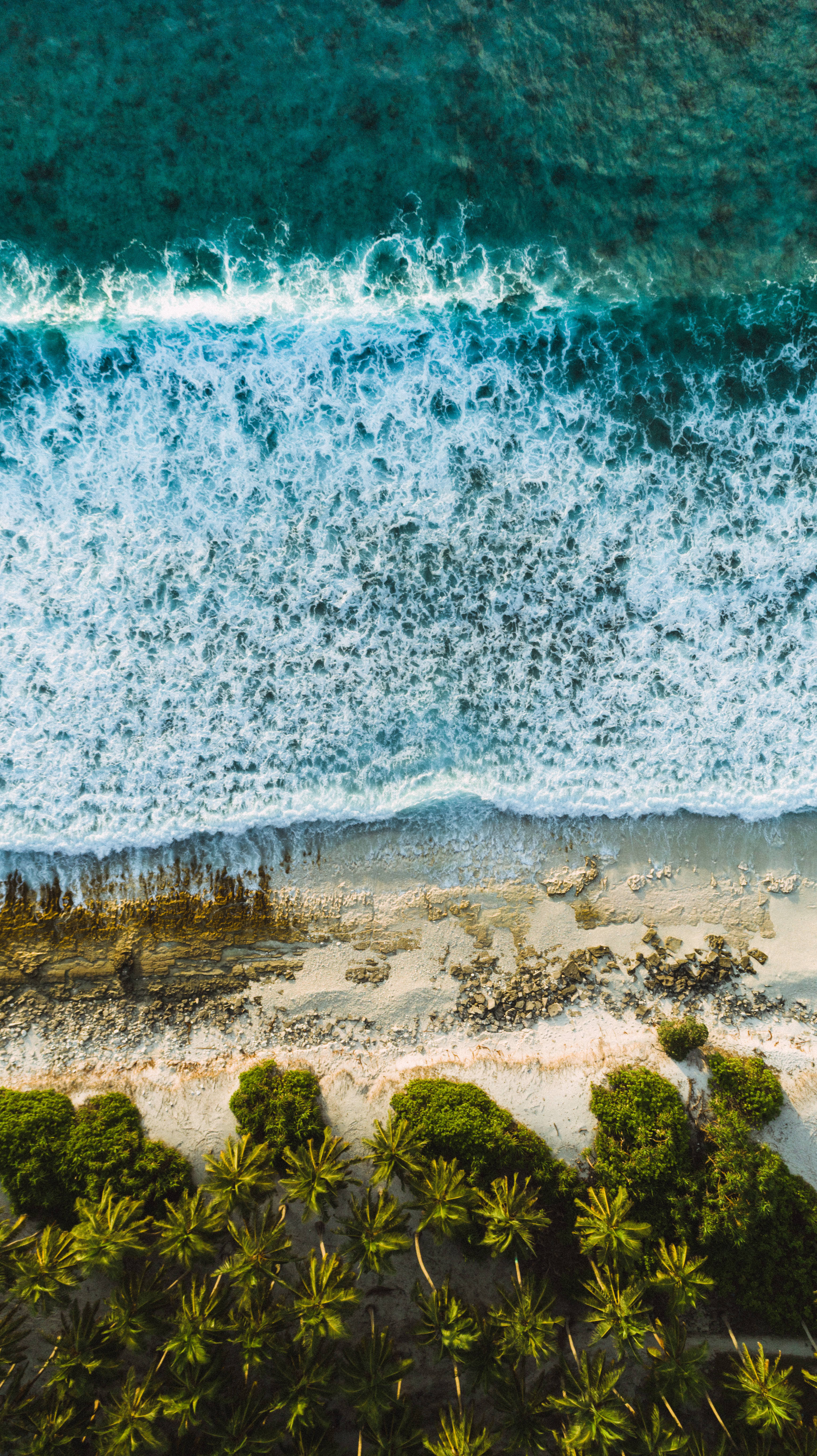 海灘浪花空中視角 iPhone XR 壁紙 — 從空中俯瞰，綠松石色的海浪拍打著沙灘，沙灘兩旁種滿了茂密的綠色棕櫚樹。