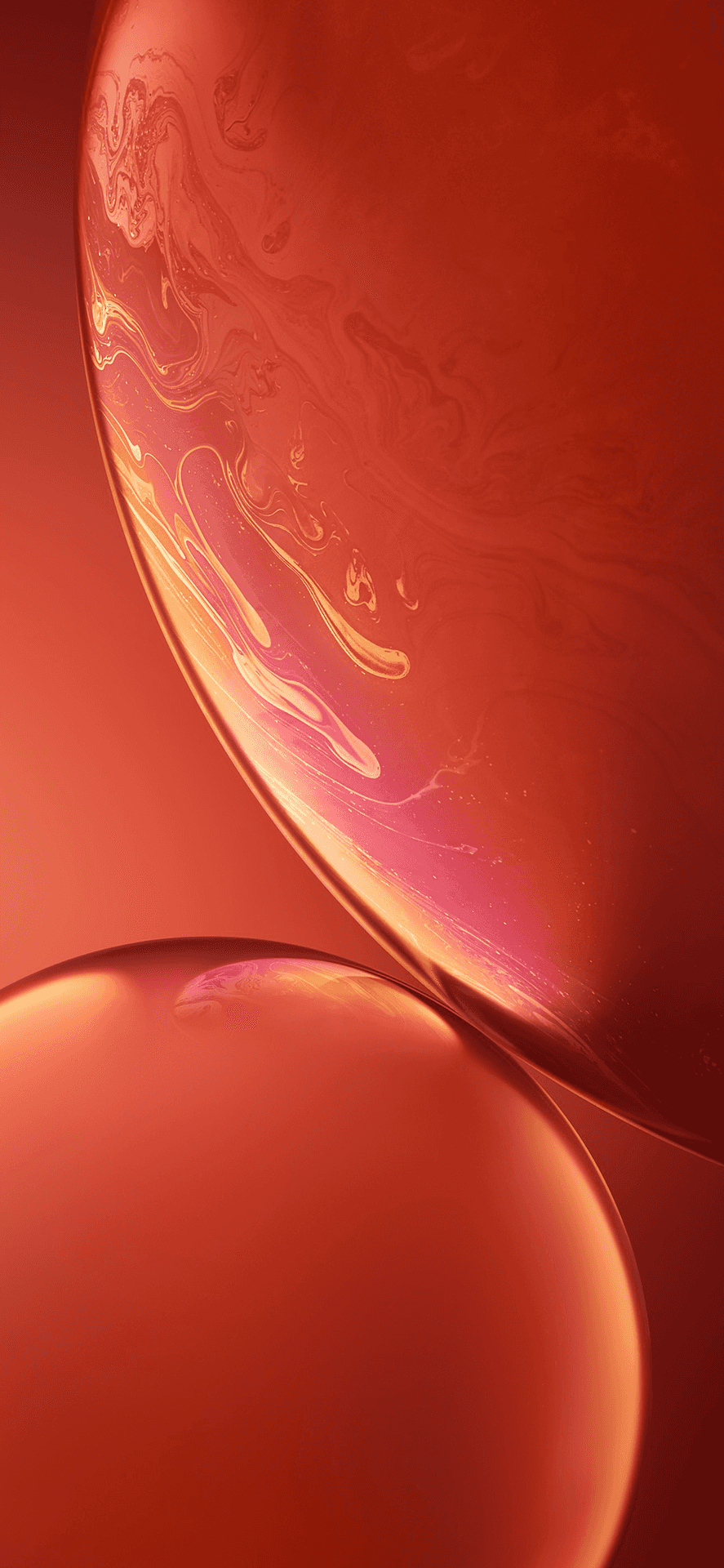 iPhone XR 圖片