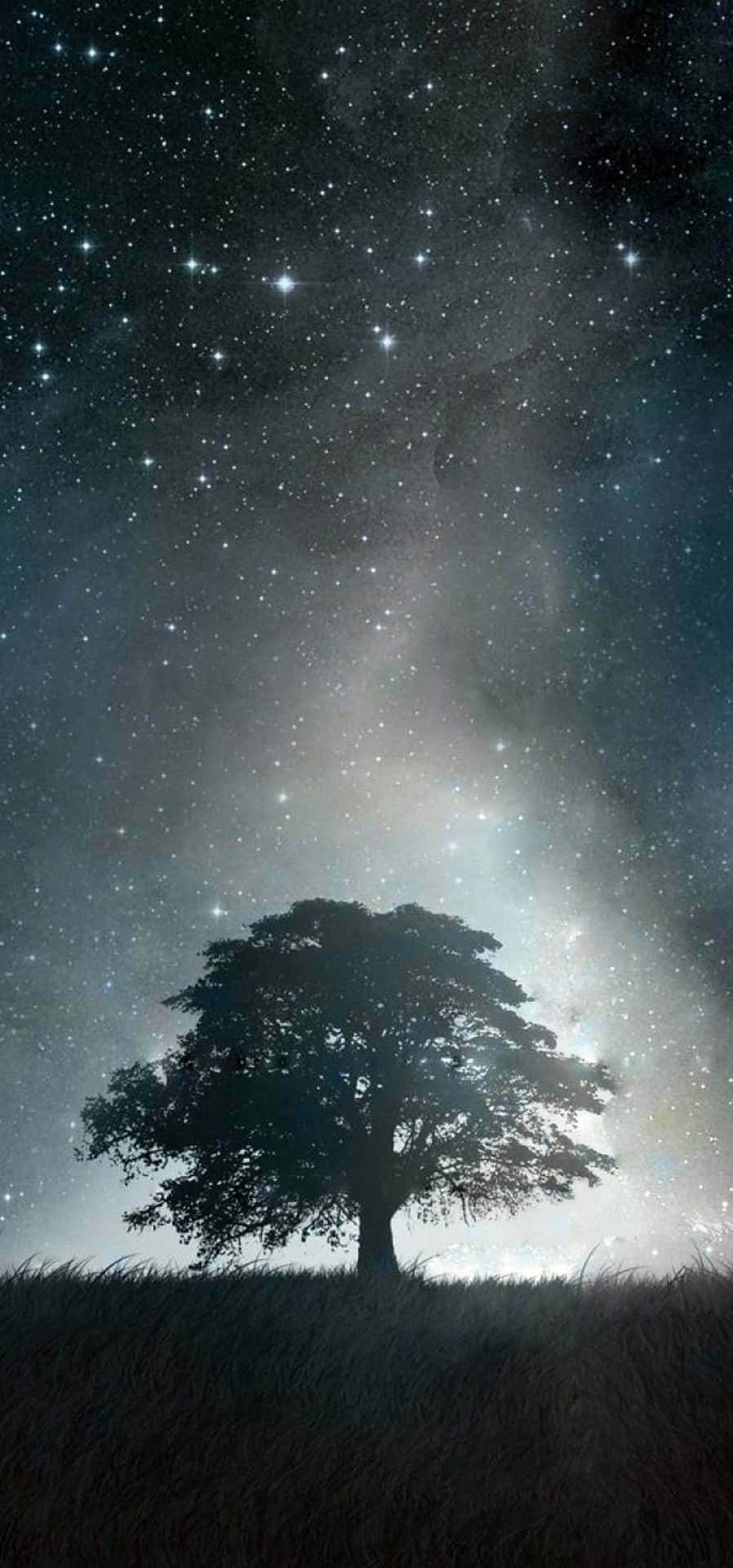 一棵孤樹在星空下，伴隨著宇宙塵埃。