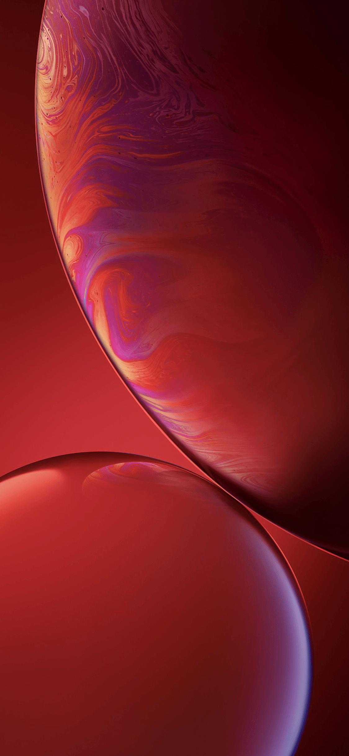 iPhone XR 精美展示 壁紙