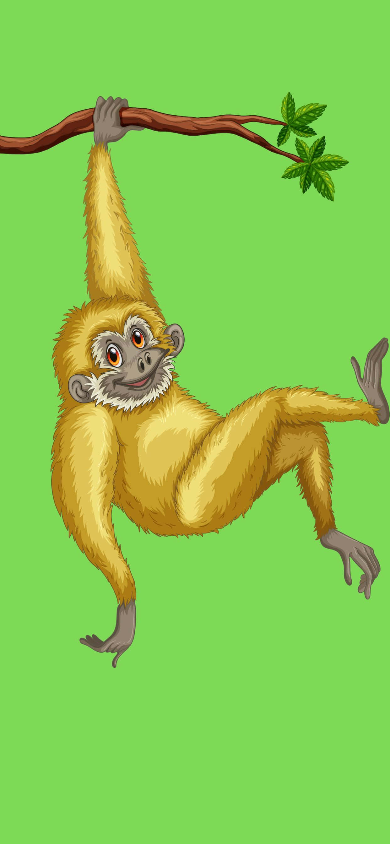 看看 iPhone Xs Max Gibbon 的鮮豔色彩與完美設計！ 壁紙