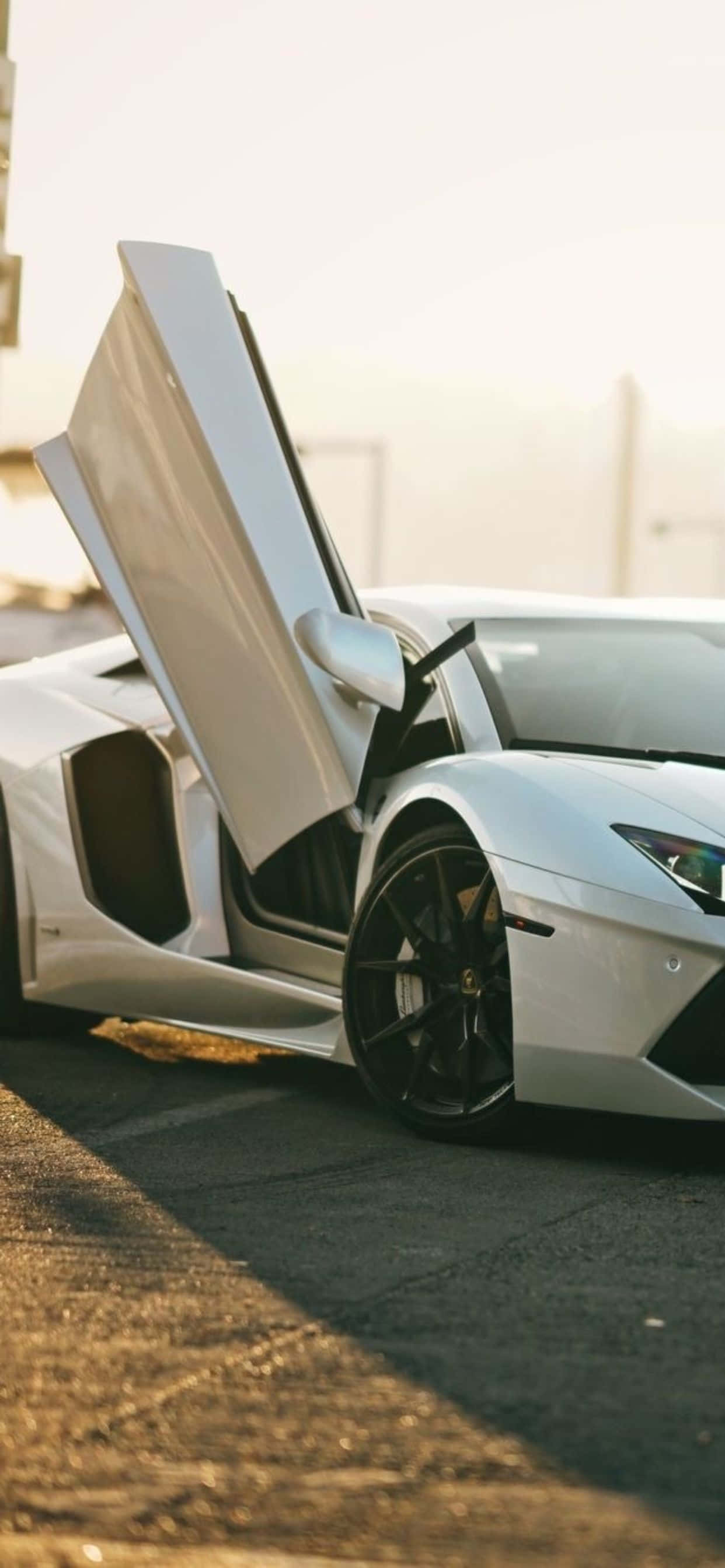 iPhone XS Max Lamborghini Aventador Roadster 背景 壁紙 — 一架時尚的白色林寶堅尼，剪刀門敞開，停在沐浴在金色夕陽光下的瀝青路面上。