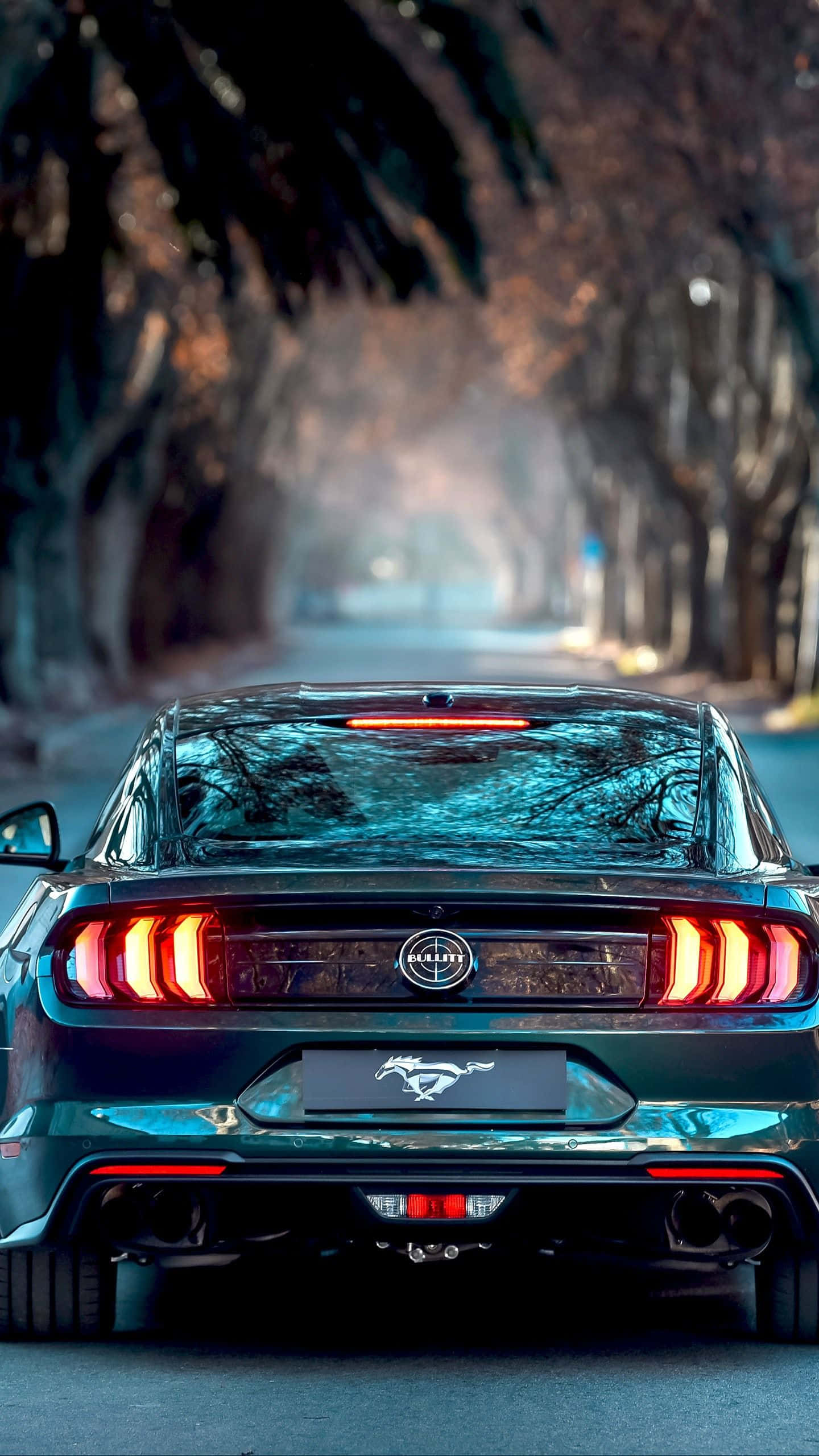 iPhone XS Max《Project Cars 2》深綠色2019福特Mustang BULLITT背景 壁紙 — 一輛時尚的深綠色福特野馬，尾燈閃爍，在黃昏時分行駛在一條霧氣瀰漫、樹木成蔭的道路上。