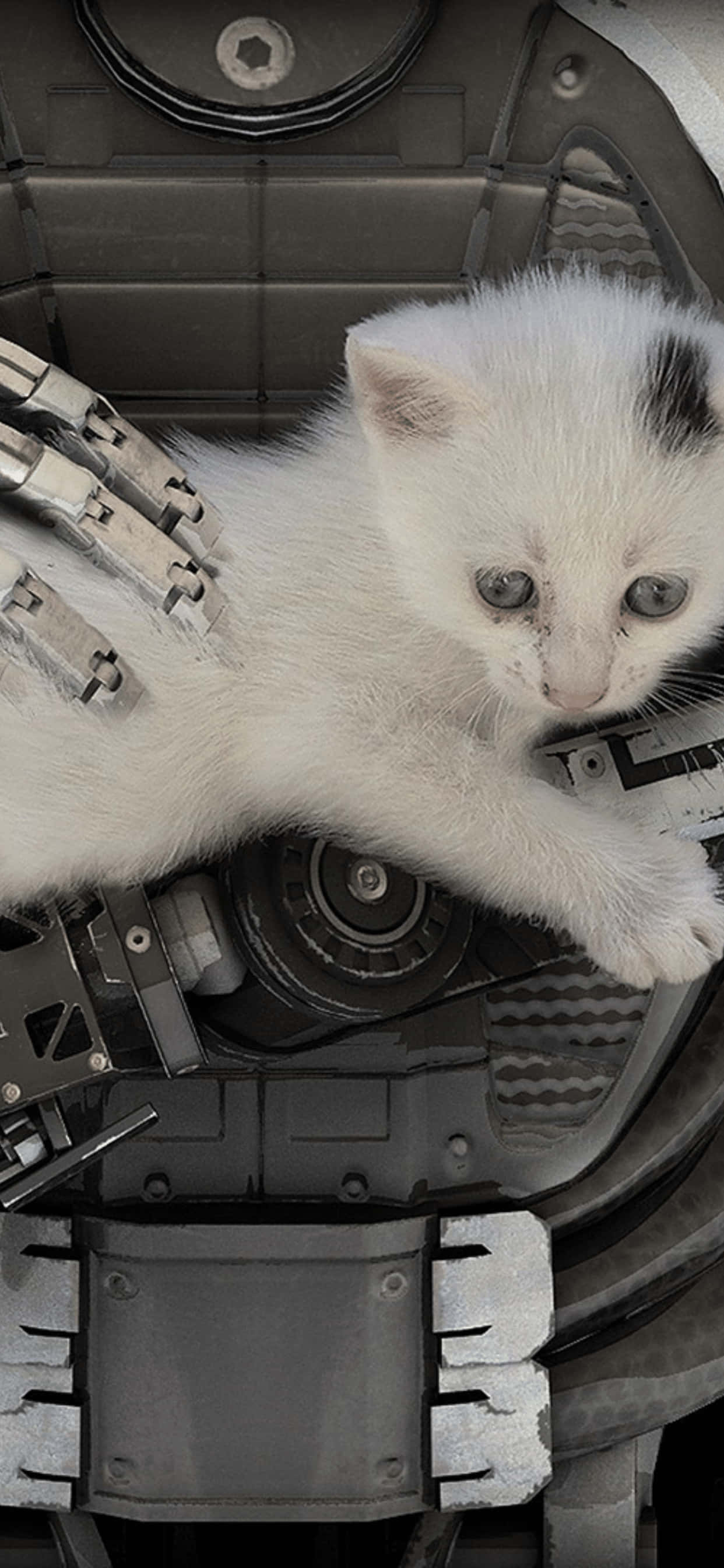 iPhone XS Max 上《The Talos Principle》的壯麗世界 壁紙 — 一隻帶有黑色斑紋的小白貓，在單色構圖中棲息於複雜的金屬機械零件之上。