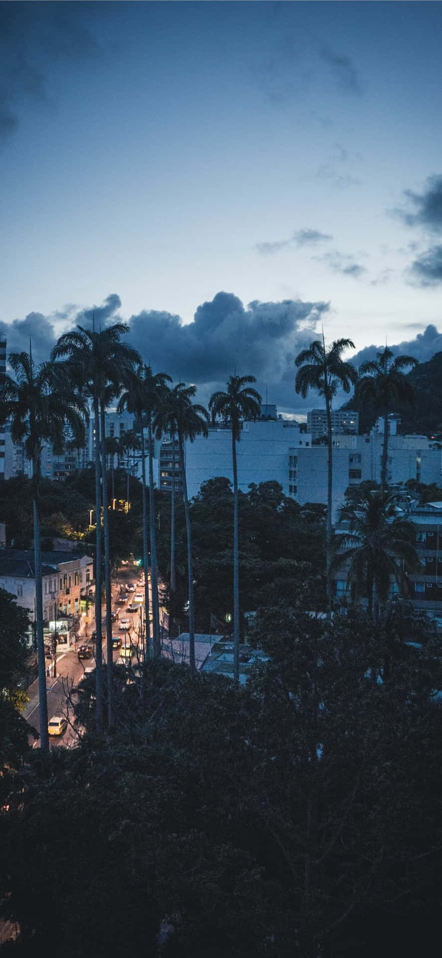 棕櫚樹在暮色中框出城市街道，上方有發光的燈光和烏雲。