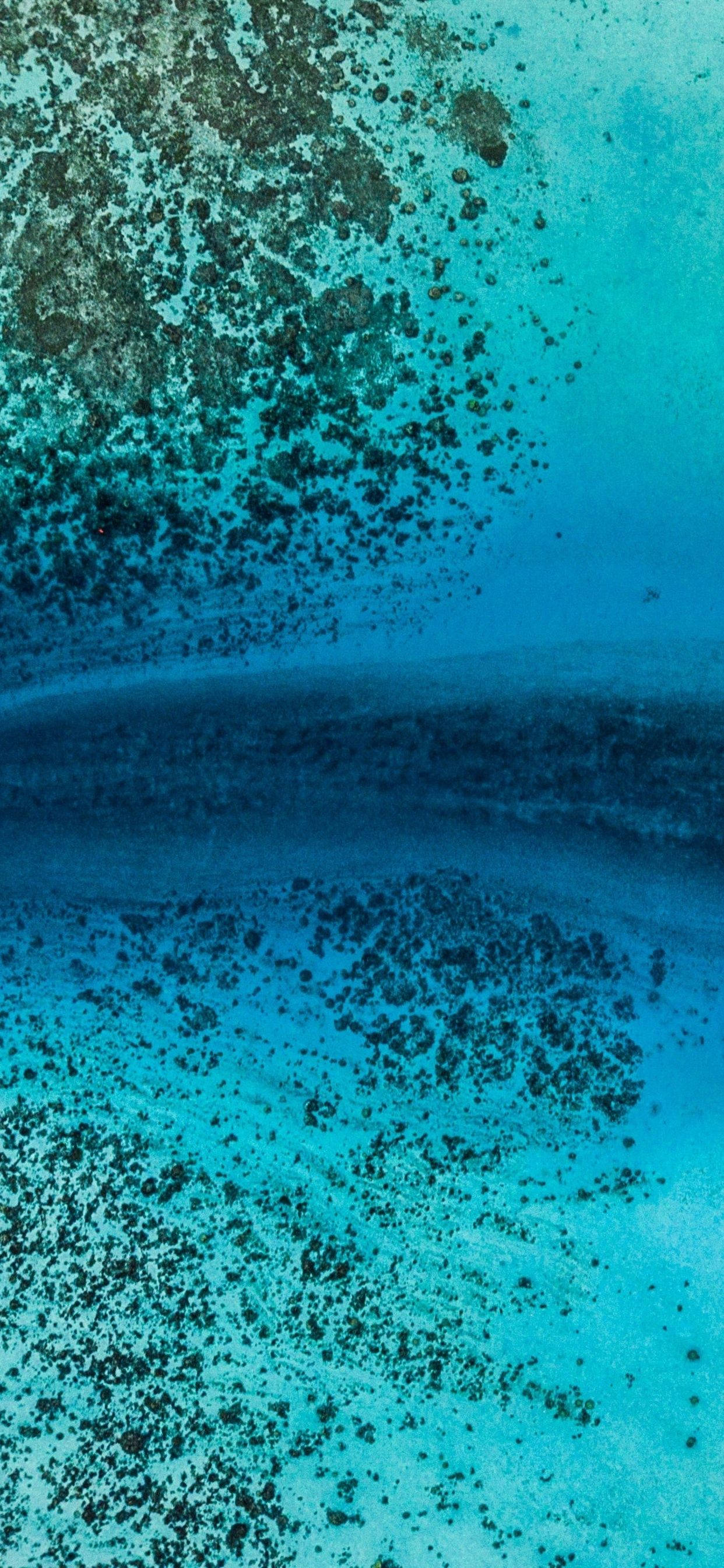 iPhone XS 海洋珊瑚礁 壁紙 — 從空中俯瞰碧綠海水，顯露出深色珊瑚結構和沙質海床，呈現充滿活力的漸變藍色。