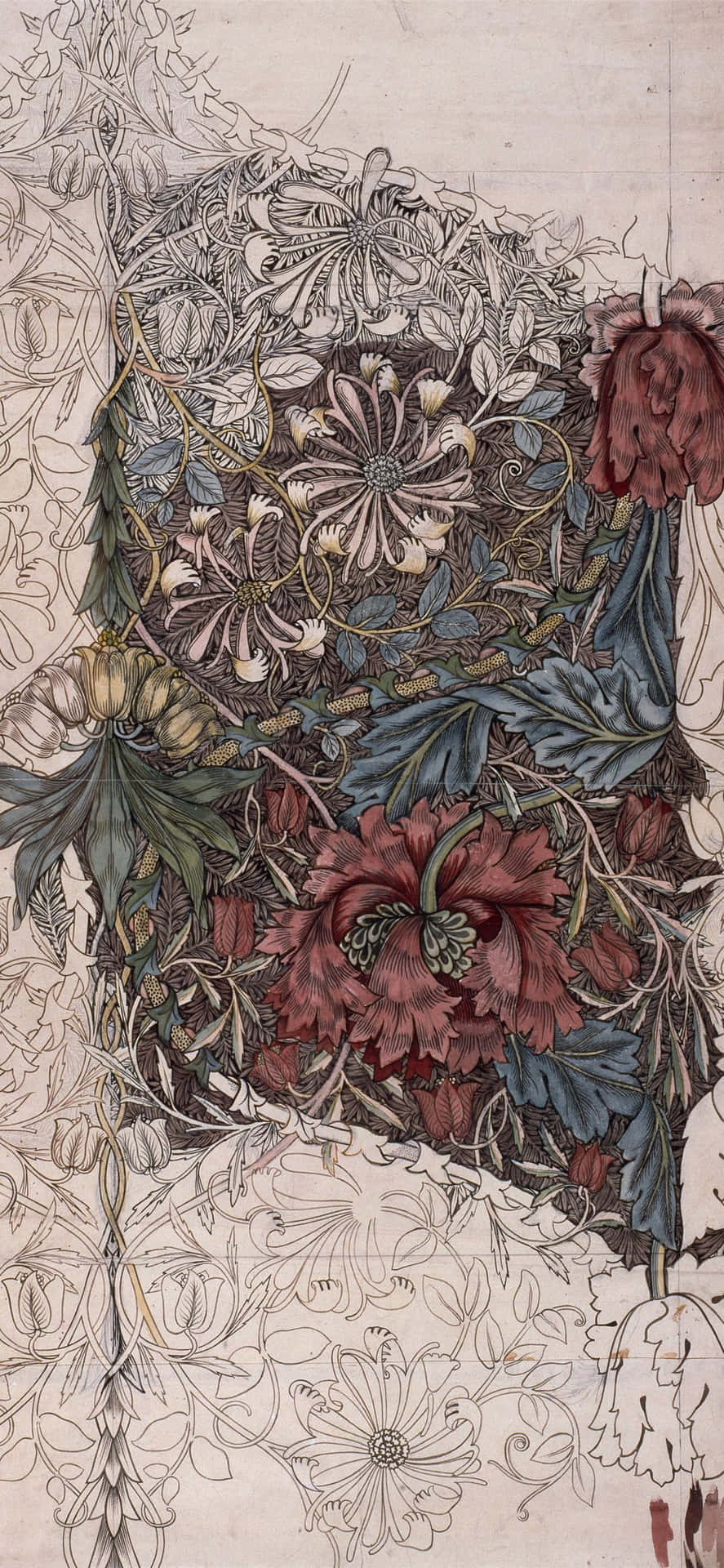 一幅詳細的花卉插圖，在奶油色背景上有紅色和藍色的花朵。