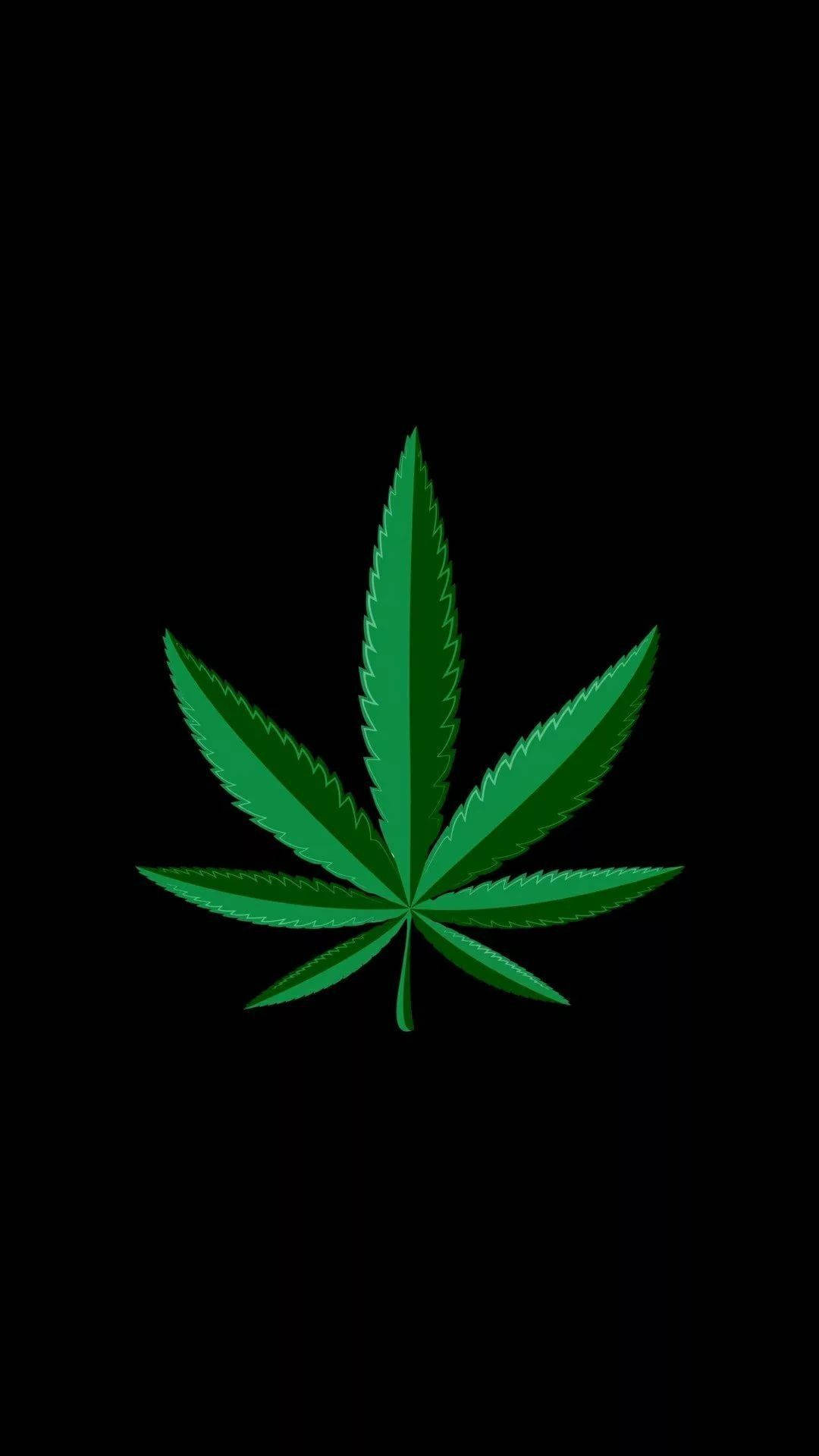 黑色背景上的綠色大麻葉。