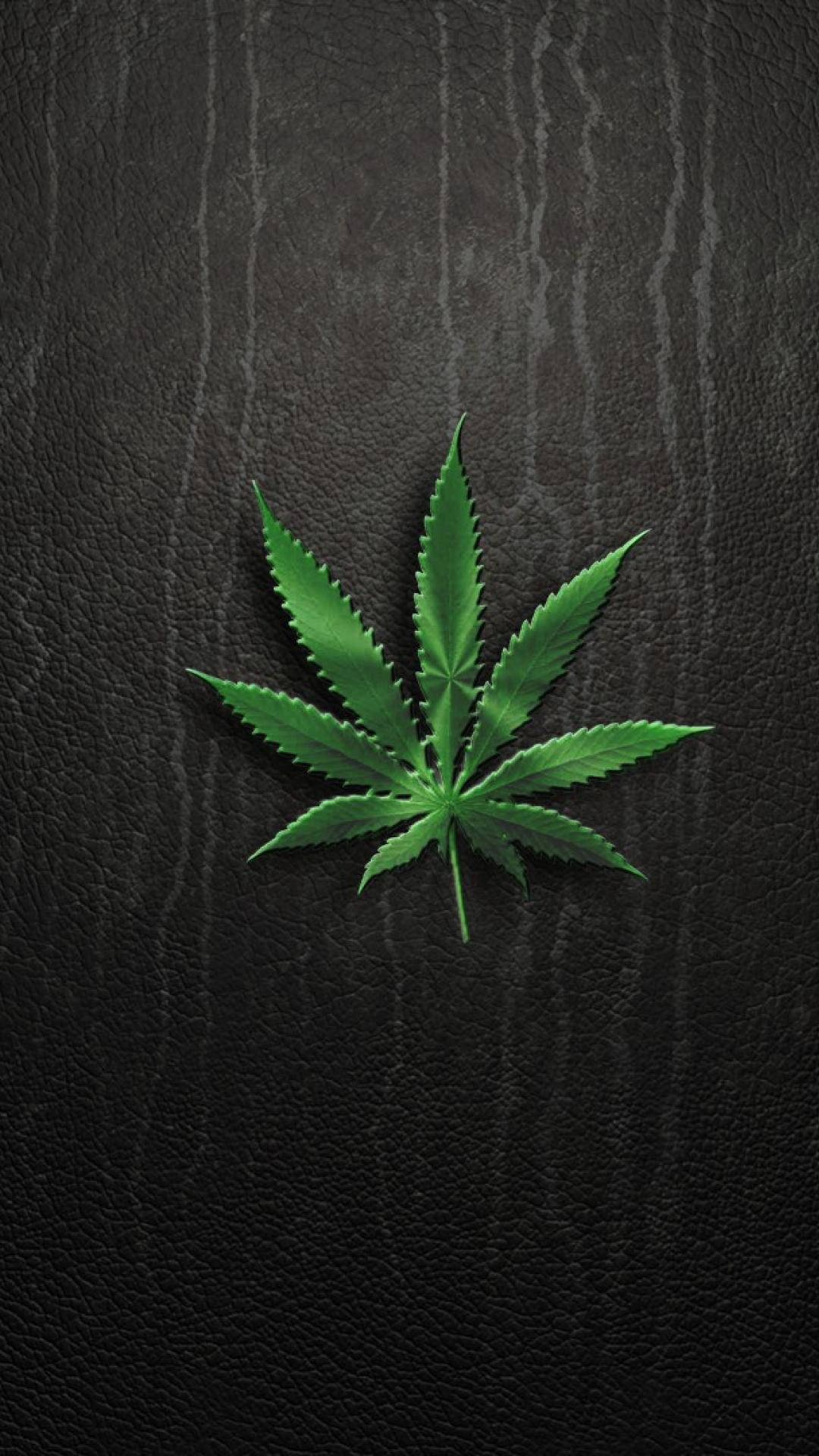 黑色皮革背景上的一片綠色大麻葉。