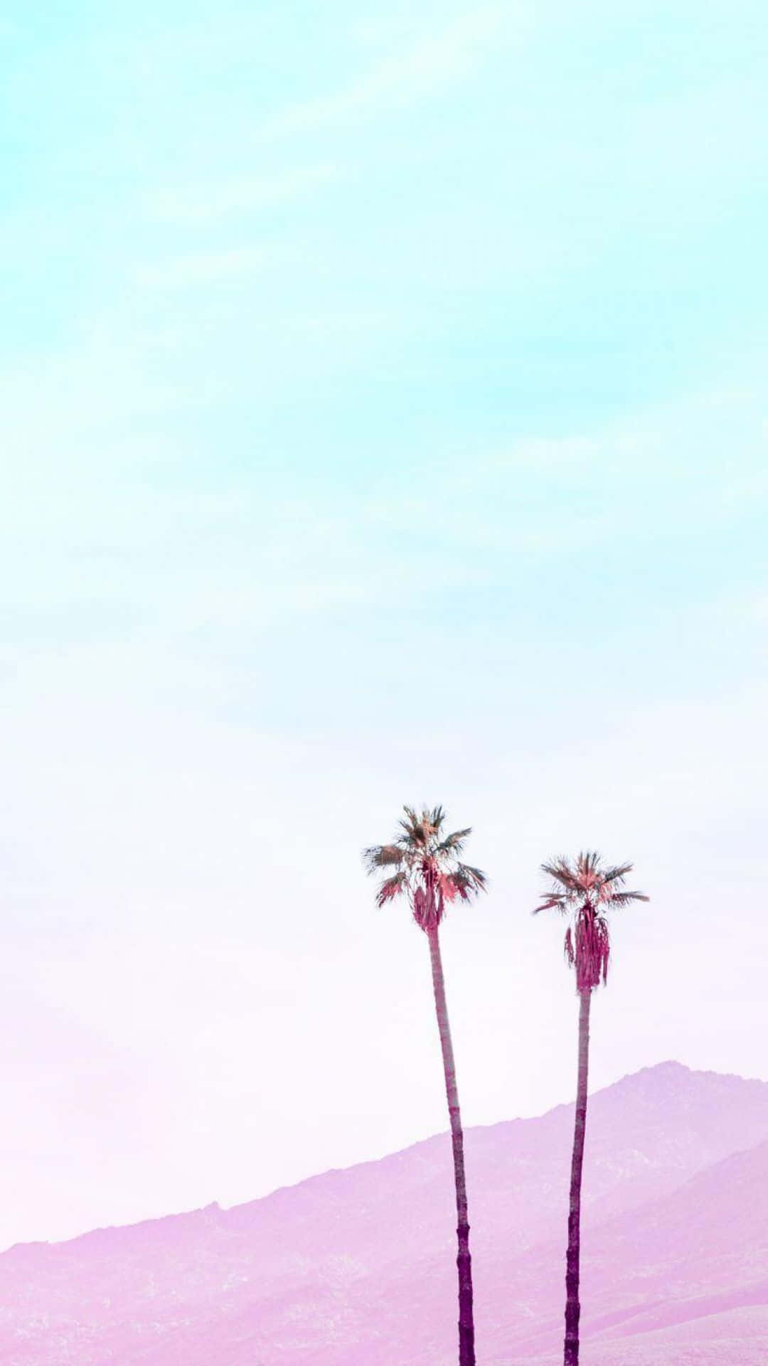 iPhone 美學背景 壁紙