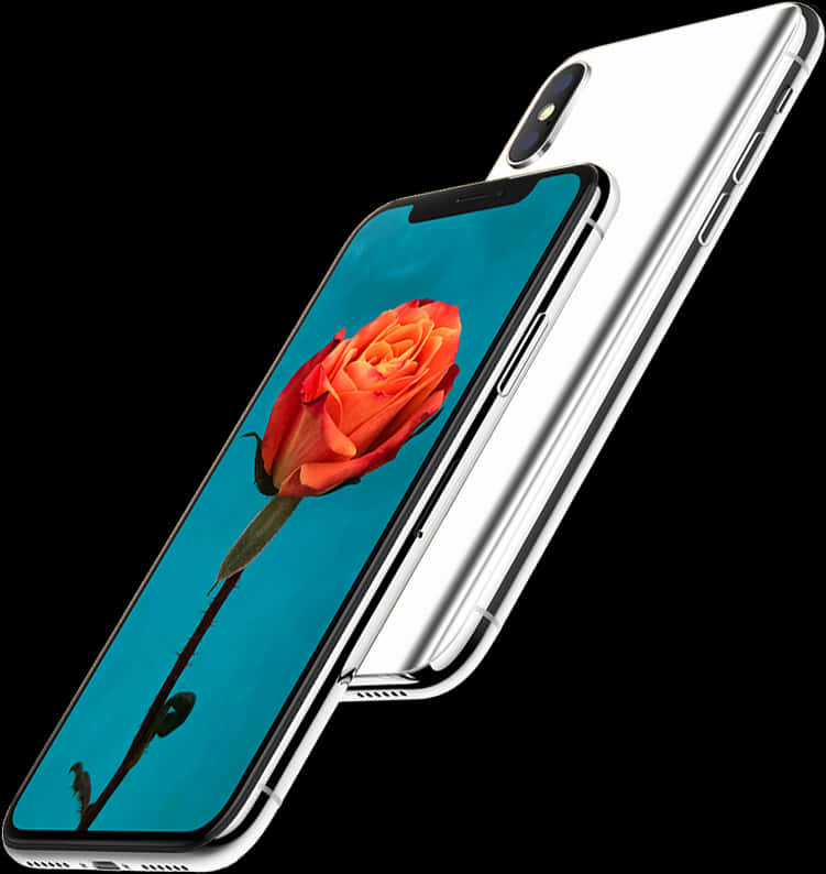 iPhone 桌面壁紙，以紅玫瑰為主題，適合用於 iPhone 10 256GB 設備。
