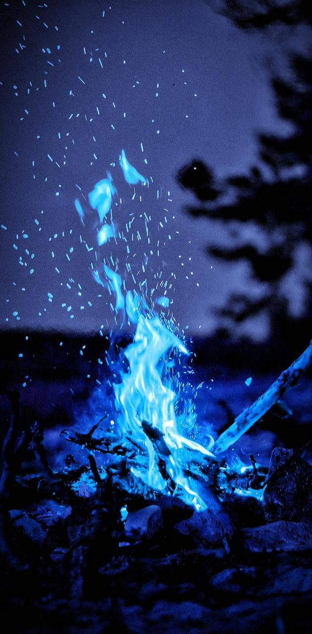 藍色營火在夜晚發光，火花飛舞，樹木呈現剪影。
