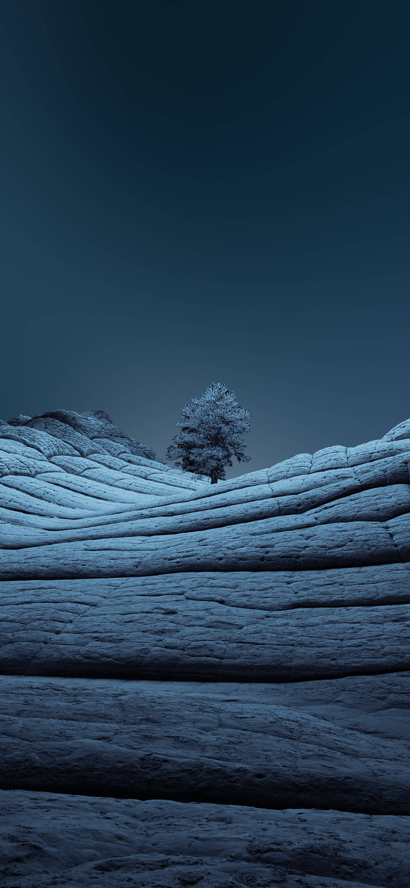 iPhone專屬的孤樹夜景 壁紙 — 一棵孤獨的雪塵樹矗立在紋理藍灰色岩層上，背景是深邃的暮色天空。