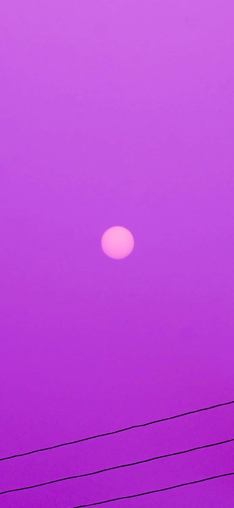 紫色天空中的粉紅色太陽，帶有黑色電線
